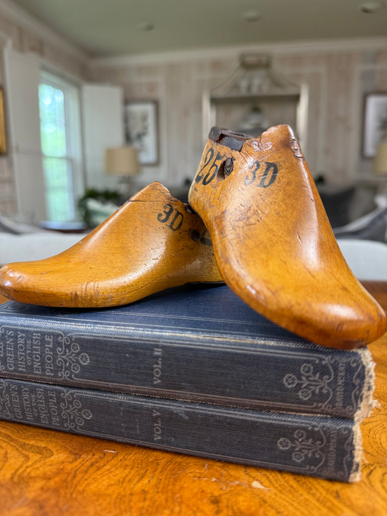 IMG_5404_1024x1024.jpg?v=